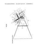 OPTICAL BEAM SCANNING DEVICE, IMAGE FORMING APPARATUS diagram and image