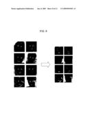 IMAGE PROCESSING APPARATUS AND IMAGE PROCESSING METHOD diagram and image