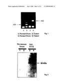 Methods for the early diagnosis of ovarian cancer diagram and image