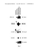 Methods for the early diagnosis of ovarian cancer diagram and image