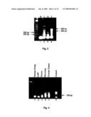 Methods for the early diagnosis of ovarian cancer diagram and image