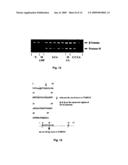 Methods for the early diagnosis of ovarian cancer diagram and image