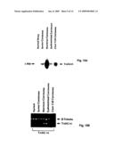 Methods for the early diagnosis of ovarian cancer diagram and image