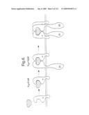 Receptor Based Antagonists and Methods of Making and Using diagram and image