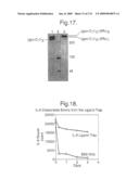 Receptor Based Antagonists and Methods of Making and Using diagram and image