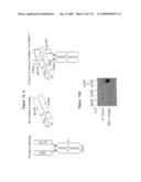 Receptor Based Antagonists and Methods of Making and Using diagram and image