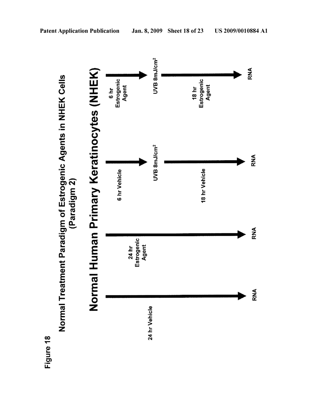 PHARMACEUTICAL COMPOSITIONS AND METHODS OF PREVENTING, TREATING, OR INHIBITING INFLAMMATORY DISEASES, DISORDERS, OR CONDITIONS OF THE SKIN, AND DISEASES, DISORDERS, OR CONDITIONS ASSOCIATED WITH COLLAGEN DEPLETION - diagram, schematic, and image 19