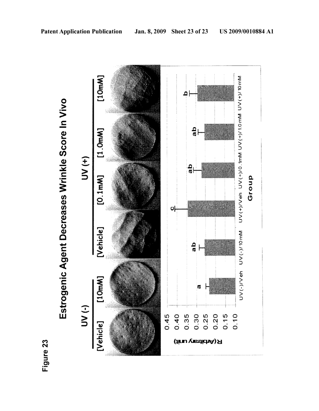 PHARMACEUTICAL COMPOSITIONS AND METHODS OF PREVENTING, TREATING, OR INHIBITING INFLAMMATORY DISEASES, DISORDERS, OR CONDITIONS OF THE SKIN, AND DISEASES, DISORDERS, OR CONDITIONS ASSOCIATED WITH COLLAGEN DEPLETION - diagram, schematic, and image 24