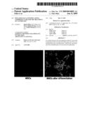 Isolated cells and populations comprising same for the treatment of CNS diseases diagram and image