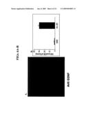 Isolated cells and populations comprising same for the treatment of CNS diseases diagram and image