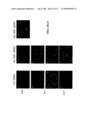 Isolated cells and populations comprising same for the treatment of CNS diseases diagram and image