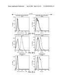 Apoptotic Anti-IgE Antibodies diagram and image