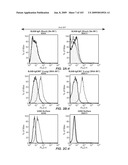 Apoptotic Anti-IgE Antibodies diagram and image