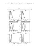 Apoptotic Anti-IgE Antibodies diagram and image