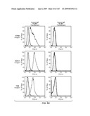 Apoptotic Anti-IgE Antibodies diagram and image