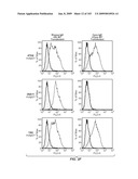 Apoptotic Anti-IgE Antibodies diagram and image