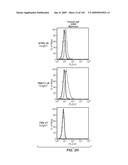 Apoptotic Anti-IgE Antibodies diagram and image