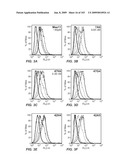 Apoptotic Anti-IgE Antibodies diagram and image