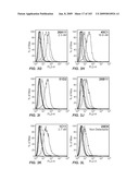 Apoptotic Anti-IgE Antibodies diagram and image