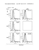 Apoptotic Anti-IgE Antibodies diagram and image