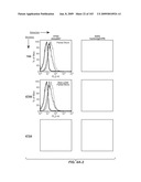 Apoptotic Anti-IgE Antibodies diagram and image