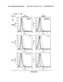 Apoptotic Anti-IgE Antibodies diagram and image