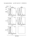 Apoptotic Anti-IgE Antibodies diagram and image