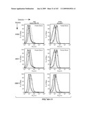 Apoptotic Anti-IgE Antibodies diagram and image