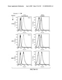 Apoptotic Anti-IgE Antibodies diagram and image