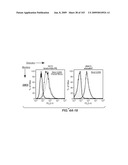 Apoptotic Anti-IgE Antibodies diagram and image