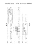 Apoptotic Anti-IgE Antibodies diagram and image