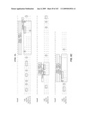 Apoptotic Anti-IgE Antibodies diagram and image