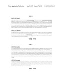 Apoptotic Anti-IgE Antibodies diagram and image