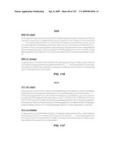 Apoptotic Anti-IgE Antibodies diagram and image