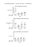 Apoptotic Anti-IgE Antibodies diagram and image