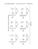 Apoptotic Anti-IgE Antibodies diagram and image