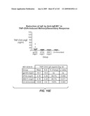 Apoptotic Anti-IgE Antibodies diagram and image