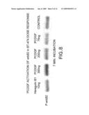 COMPOSITIONS AND METHODS FOR RESTORING SENSITIVITY TO TREATMENT WITH HER2 ANTAGONISTS diagram and image