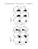 EX-VIVO ISOLATED CD25+CD4+ T CELLS WITH IMMUNOSUPPRESSIVE ACTIVITY AND USES THEREOF diagram and image