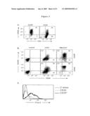 EX-VIVO ISOLATED CD25+CD4+ T CELLS WITH IMMUNOSUPPRESSIVE ACTIVITY AND USES THEREOF diagram and image