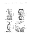 Genetically Engineered Swine Influenza Virus and Uses Thereof diagram and image