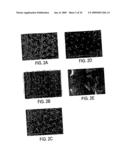 CARBON NANOSTRUCTURES AND METHODS OF MAKING AND USING THE SAME diagram and image