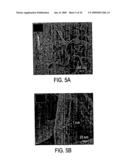 CARBON NANOSTRUCTURES AND METHODS OF MAKING AND USING THE SAME diagram and image