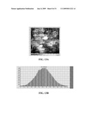 SUPERHYDROPHOBIC SURFACE AND METHOD FOR FORMING SAME diagram and image