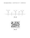 SUPERHYDROPHOBIC SURFACE AND METHOD FOR FORMING SAME diagram and image