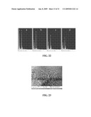 SUPERHYDROPHOBIC SURFACE AND METHOD FOR FORMING SAME diagram and image