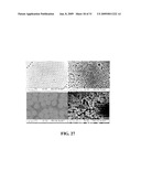 SUPERHYDROPHOBIC SURFACE AND METHOD FOR FORMING SAME diagram and image