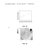 SUPERHYDROPHOBIC SURFACE AND METHOD FOR FORMING SAME diagram and image