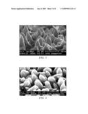 FORMATION OF LARGE ARRAYS OF ZINC OXIDE NANOSTRUCTURES USING ELECTRODEPOSITION diagram and image