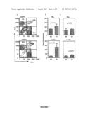 Polymorphic Cd24 Genotypes that are Predictive of Multiple Sclerosis Risk and Progression diagram and image